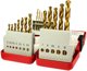 21PCS ΣΕΤ ΤΡΥΠΑΝΙΩΝ HSS ΕΠΙΚΑΛΥΜΜΕΝΑ ΜΕ ΤΙΤΑΝΙΟ