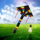 Adar Latawiec 535534