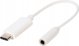 Προσαρμογέας USB Vivanco Vivanco προσαρμογέας USB-C - 3,5mm 10cm (45389)