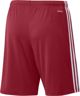 Adidas Σορτς adidas SQUADRA 21 Short GN5771 GN5771 κόκκινο S