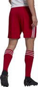 Adidas Σορτς adidas SQUADRA 21 Short GN5771 GN5771 κόκκινο S