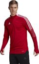 Adidas Κόκκινο XL