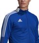 Adidas Μπλε 2XL