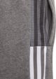 Adidas Σορτς adidas TIRO 21 Sweat Short Junior GP8806 GP8806 γκρι 128 cm