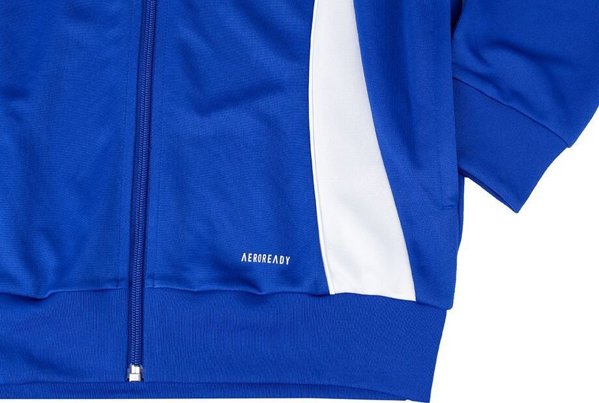 Ανδρική μπλούζα Adidas Tiro 24 Training μπλε IR9492 L