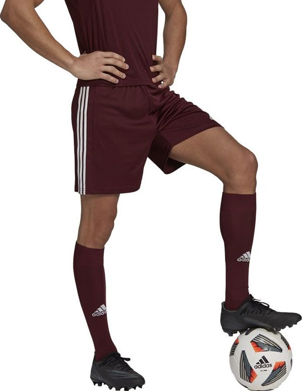 Adidas Σορτς adidas SQUADRA 21 Short GN8083 GN8083 κόκκινο XXL