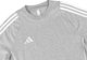 Ανδρική μπλούζα Adidas Tiro 24 Sweat γκρι IR9348 S