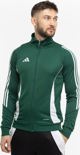 Φούτερ ανδρικό Adidas Tiro 24 Training πράσινο IR7500 S
