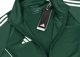 Φούτερ ανδρικό Adidas Tiro 24 Training πράσινο IR7500 S