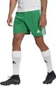 Adidas Σορτς adidas SQUADRA 21 Short GN5769 GN5769 πράσινο XXL