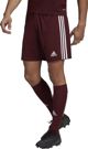 Adidas Σορτς adidas SQUADRA 21 Short GN8083 GN8083 κόκκινο S