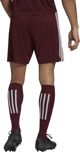 Adidas Σορτς adidas SQUADRA 21 Short GN8083 GN8083 κόκκινο S