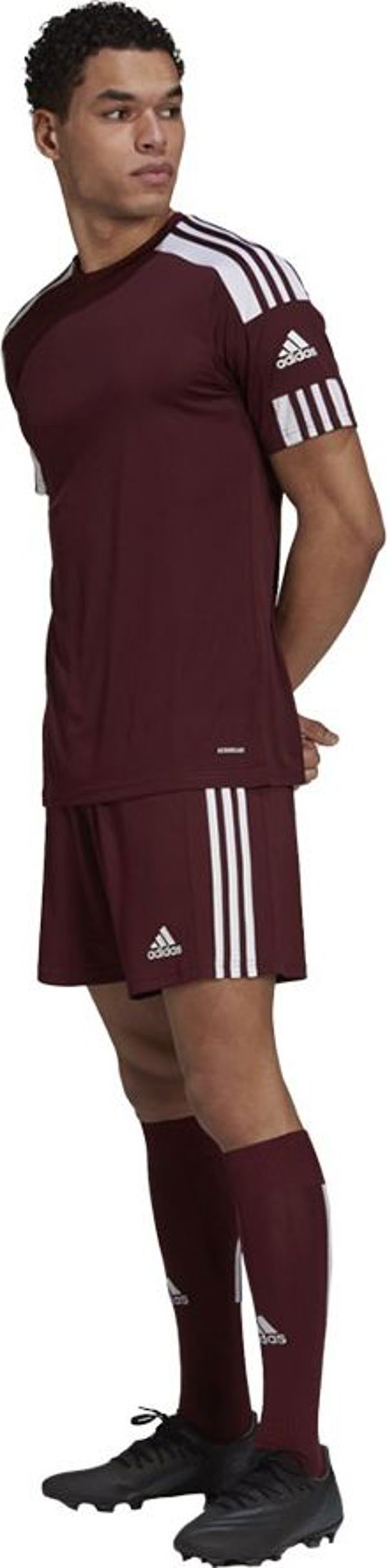 Adidas Σορτς adidas SQUADRA 21 Short GN8083 GN8083 κόκκινο S