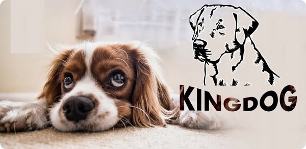 AIO FACTORY Κρεβάτι Κατοικιδίου KINGDOG 75x65 Ανοιχτό Γκρι