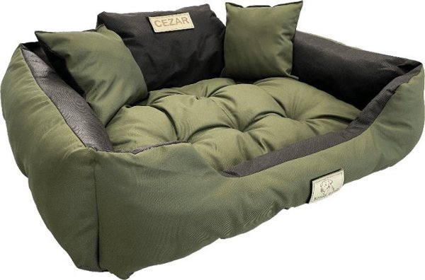 AIO FACTORY Προσωποποιημένο κρεβάτι KINGDOG 100x75 πράσινο