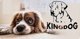 AIO FACTORY Κρεβάτι Κατοικίδιου KINGDOG 115x95 Μπεζ