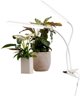 Φωτιστικό φυτών Airam Tulip, 16W/840, 780 lm, λευκό