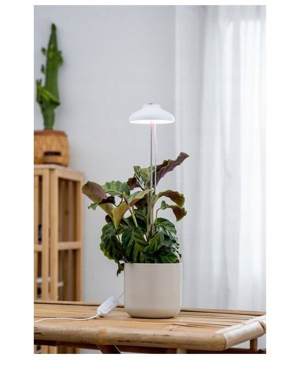 Φωτιστικό φυτών Airam Iris, IP20, 5W, 240 lm, λευκό