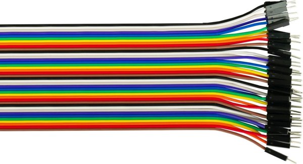 Alcasa kabelmeister Jumper Wire 40-Pin St-Bu 40cm