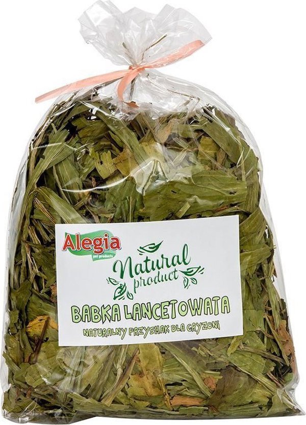 Alegia ALEGIA Ribwort Plantain 300γρ 12306429 5901912231016
