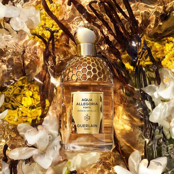 GUERLAIN Aqua Allegoria Forte Bosca Vanilla EDP spray 75ml 14178815 3346470147447