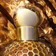GUERLAIN Aqua Allegoria Forte Bosca Vanilla EDP spray 75ml 14178815 3346470147447