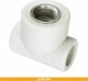 Alkotest TW2012 Τρισύνδεσμος Θηλυκός Σπείρωμα FI20X1/2 // PP.T-20X1/2