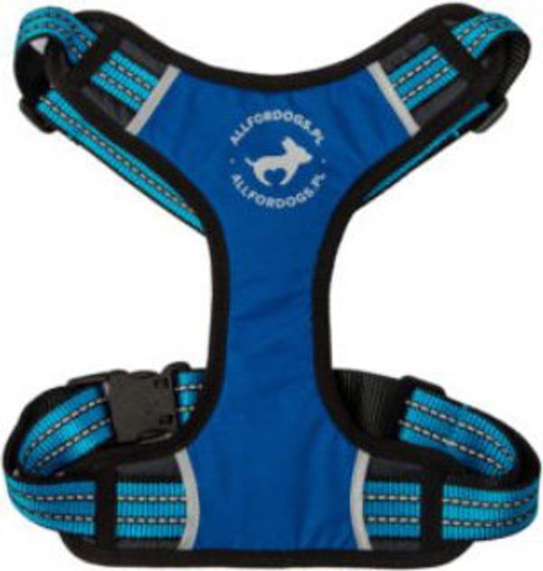 All For Dogs Αθλητικά μπλε λουριά r. S (45-80cm)