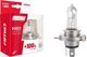 AMIO Σετ λαμπτήρων αλογόνου H4 12V 60/55W LumiTec SILVER +100% DUO BOX