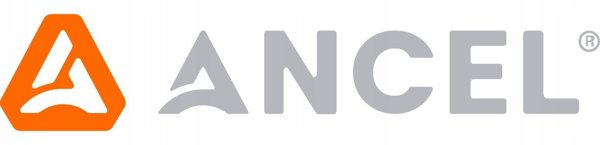 Ασύρματος διαγνωστικός σαρωτής OBD2 Ancel BD300