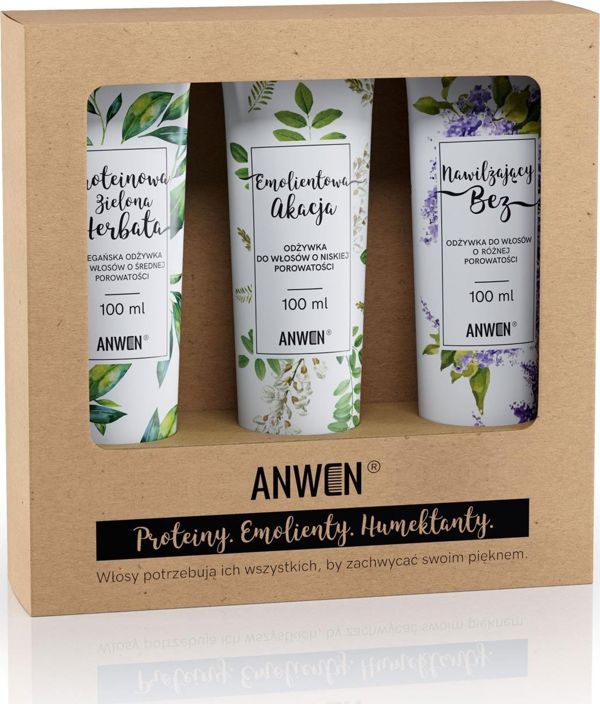 Anwen Set Μαλακτικά Μαλλιών Low Porosity, Protein Green Tea & Ενυδατική Δράση 3x100ml