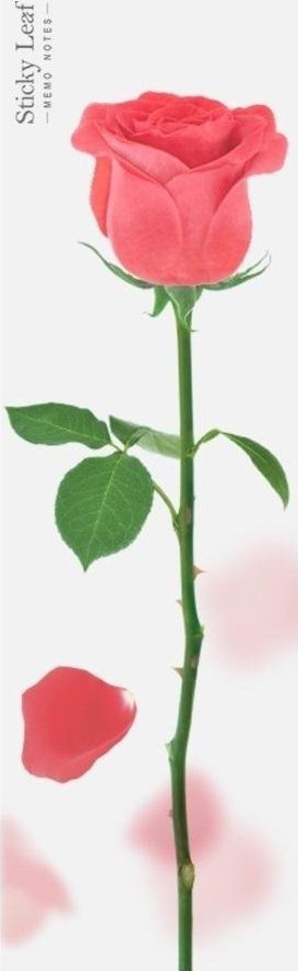 Appree Αυτοκόλλητες Κάρτες Σημειώσεων Red Rose - Σελιδοδείκτες Ευρετηρίου σε Σχήμα Τριαντάφυλλο