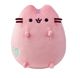 Aurora PUSHEEN Μαλακό παιχνίδι Παστέλ ροζ Pusheen, 18 cm 14125373 4894856022424