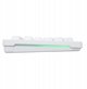 Baracuda BGC-011 Orca White