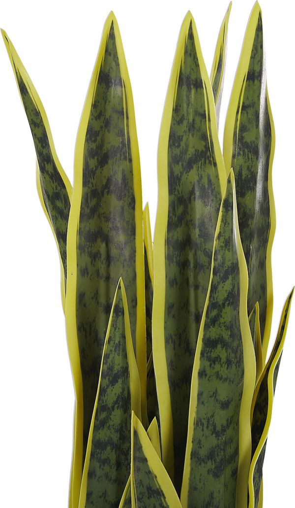 Beliani Τεχνητό Φυτό Sansevieria σε Γλάστρα, 63 εκ., Πράσινο