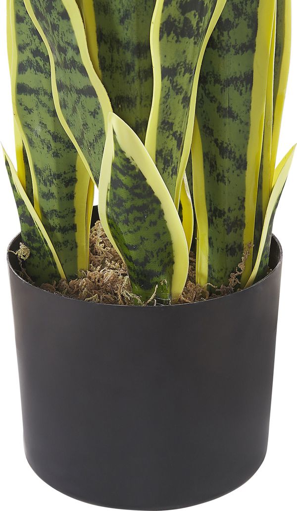Beliani Τεχνητό Φυτό Sansevieria σε Γλάστρα, 63 εκ., Πράσινο