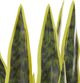 Beliani Τεχνητό Φυτό Sansevieria σε Γλάστρα, 63 εκ., Πράσινο