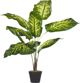 Beliani Τεχνητό φυτό σε γλάστρα 122 cm DIEFFENBACHIA 8130297 4251682243605