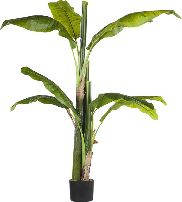 Beliani Τεχνητό φυτό σε γλάστρα 154 cm ΜΠΑΝΑΝΑ 8130299 4251682243643
