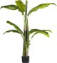 Beliani Τεχνητό φυτό σε γλάστρα 154 cm ΜΠΑΝΑΝΑ 8130299 4251682243643