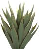Beliani Τεχνητό φυτό σε γλάστρα 52 cm ALOE VERA 8171222 4251682243650