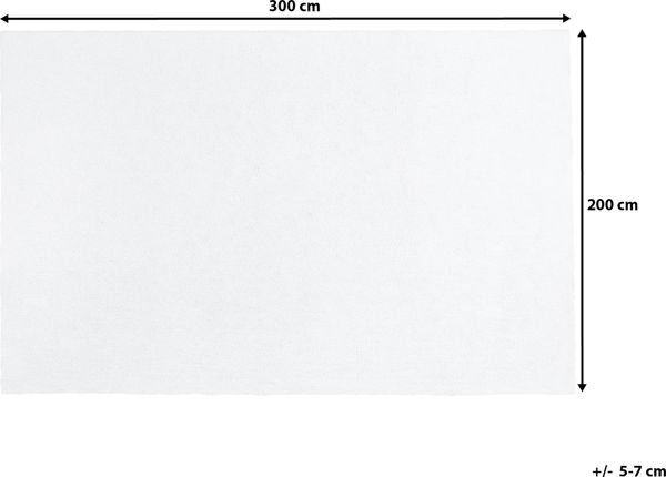 Μοκέτα Beliani 200 x 300 cm λευκό DEMRE 8171266 4260580925872