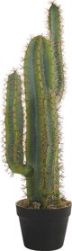 Beliani Τεχνητό φυτό σε γλάστρα 78 cm CACTUS 11356914 4251682279697