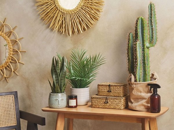 Beliani Τεχνητό φυτό σε γλάστρα 78 cm CACTUS 11356914 4251682279697
