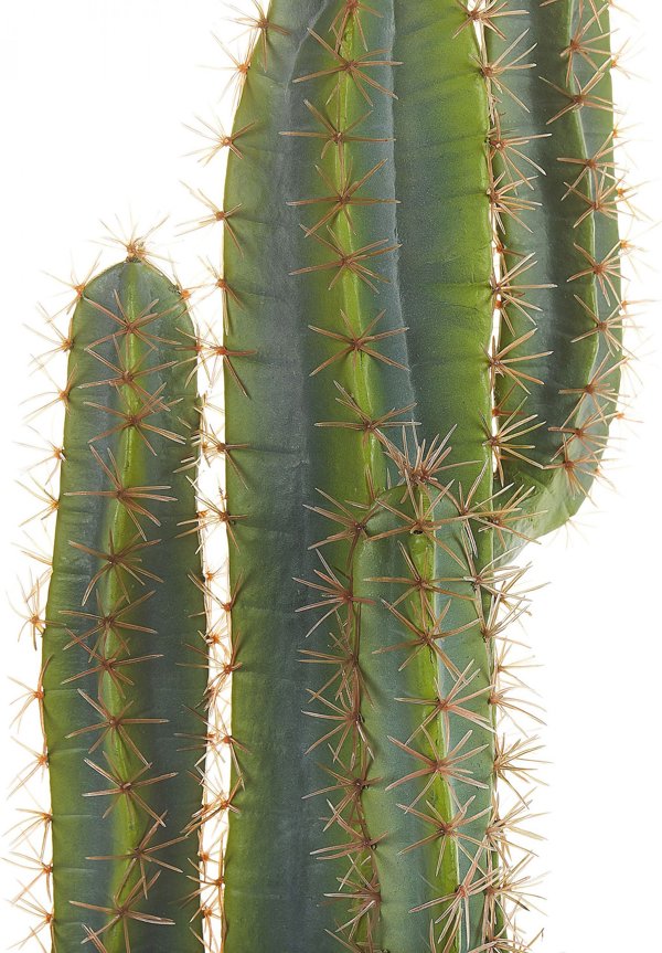 Beliani Τεχνητό φυτό σε γλάστρα 78 cm CACTUS 11356914 4251682279697