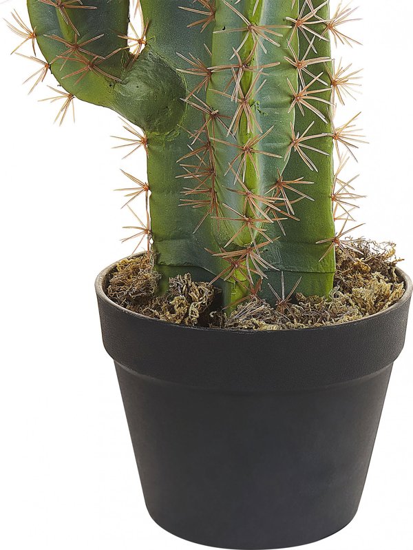 Beliani Τεχνητό φυτό σε γλάστρα 78 cm CACTUS 11356914 4251682279697