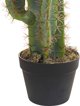 Beliani Τεχνητό φυτό σε γλάστρα 78 cm CACTUS 11356914 4251682279697