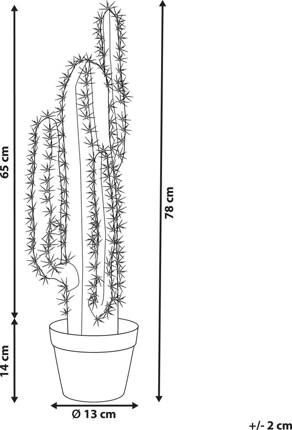 Beliani Τεχνητό φυτό σε γλάστρα 78 cm CACTUS 11356914 4251682279697