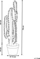 Beliani Τεχνητό φυτό σε γλάστρα 78 cm CACTUS 11356914 4251682279697