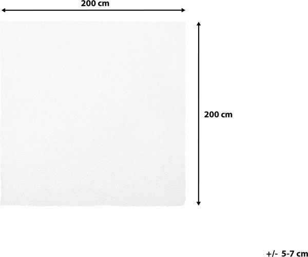Μοκέτα Beliani 200 x 200 cm λευκό DEMRE 8171272 4260602376828